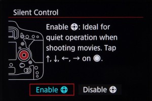 Canon EOS-1D X Mark II Video Options