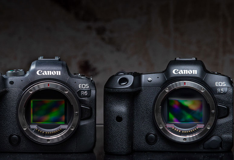 CANON EOS R5 AND EOS R6